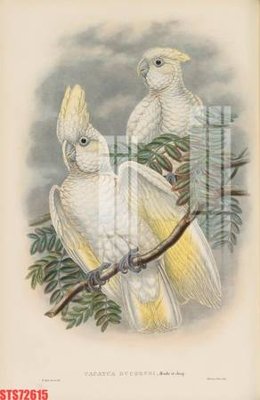 File gốc Tranh sơn dầu phương tây tổng hợp STS72615 cho in ấn và thiết kế