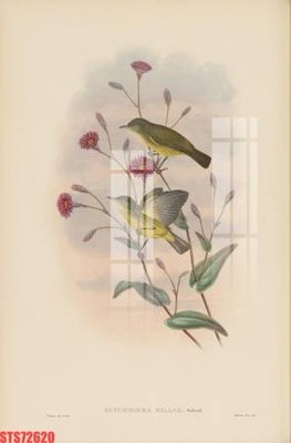 Tải file gốc Tranh sơn dầu phương tây tổng hợp STS72620 (bản PSD) còn layer