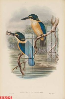 File gốc Tranh sơn dầu phương tây tổng hợp STS72623 (cho in ấn) độc quyền