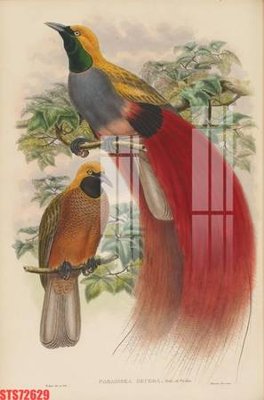 Download file gốc Tranh sơn dầu phương tây tổng hợp STS72629 (in mica) 3D