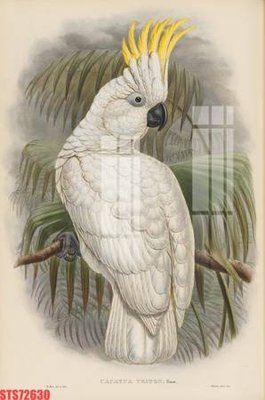 Tải file PSD Tranh sơn dầu phương tây tổng hợp STS72630 (nguyên layer) để in