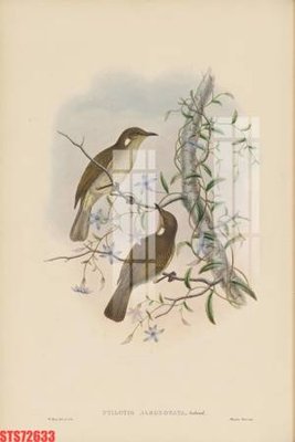 File gốc Tranh sơn dầu phương tây tổng hợp STS72633 (trang trí) phòng làm việc