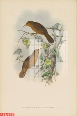 File PSD in ấn Tranh sơn dầu phương tây tổng hợp STS72635 (chất lượng cao)