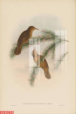 File gốc Tranh sơn dầu phương tây tổng hợp STS72637 (chuẩn màu) cho in offset