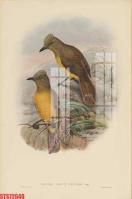 Ảnh gốc Tranh sơn dầu phương tây tổng hợp STS72640 (độ nét cao) in mica