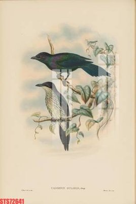 File gốc Tranh sơn dầu phương tây tổng hợp STS72641 (in 3D) nghệ thuật