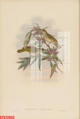 Tải file Tranh sơn dầu phương tây tổng hợp STS72642 (gốc) để in ấn ngay