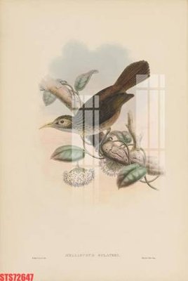 File gốc Tranh sơn dầu phương tây tổng hợp STS72647 (trang trí) phòng ngủ