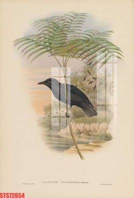 Tải file Tranh sơn dầu phương tây tổng hợp STS72654 (gốc) chủ đề phong thủy