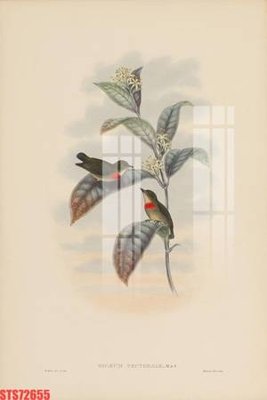 Tệp tin gốc Tranh sơn dầu phương tây tổng hợp STS72655 (chất lượng cao) Tranh sơn dầu phương tây tổng hợp STS72655