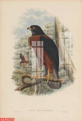 File ảnh Tranh sơn dầu phương tây tổng hợp STS72657 (gốc) cho trang trí nhà hàng