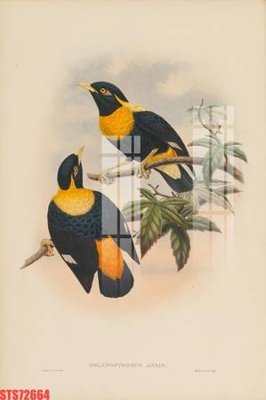 Hình ảnh file gốc Tranh sơn dầu phương tây tổng hợp STS72664 cho in UV