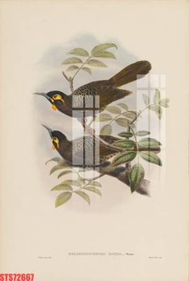 File in mica Tranh sơn dầu phương tây tổng hợp STS72667 (bản gốc) làm vách ngăn