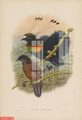 File gốc Tranh sơn dầu phương tây tổng hợp STS72671 (PNG) chất lượng cao