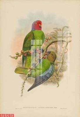 Tải file Tranh sơn dầu phương tây tổng hợp STS72673 (gốc) làm file quảng cáo