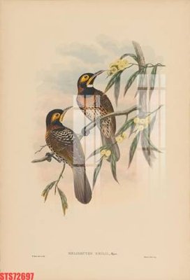 Chi tiết file gốc Tranh sơn dầu phương tây tổng hợp STS72697 (cho in tráng gương)