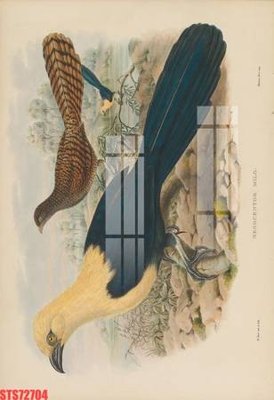 Ảnh gốc file in lụa Tranh sơn dầu phương tây tổng hợp STS72704 chi tiết