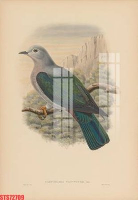 File tranh PSD Tranh sơn dầu phương tây tổng hợp STS72709 chất lượng cao