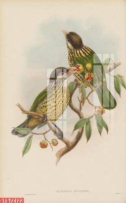 Tải file tranh Tranh sơn dầu phương tây tổng hợp STS72723 (gốc) tại Filetranh.com