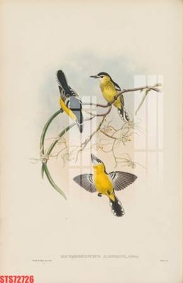 Tải file gốc Tranh sơn dầu phương tây tổng hợp STS72726 (in khổ lớn) không vỡ