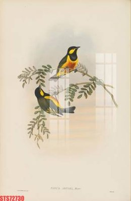 Chi tiết file gốc Tranh sơn dầu phương tây tổng hợp STS72730 (cho in tráng gương)