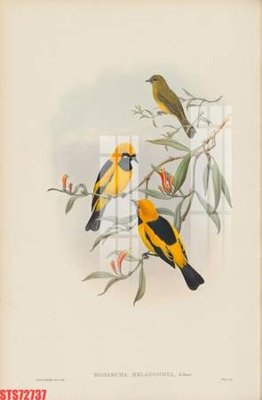 File gốc in tráng gương Tranh sơn dầu phương tây tổng hợp STS72737 chi tiết