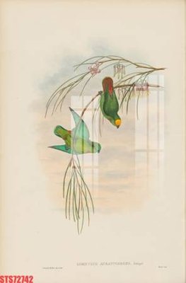 Tải về file tranh gốc Tranh sơn dầu phương tây tổng hợp STS72742 (để in quảng cáo)