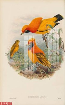 File tranh Tranh sơn dầu phương tây tổng hợp STS72751 (ảnh gốc) cho in ấn kỹ thuật số