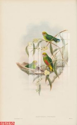 File tranh gốc Tranh sơn dầu phương tây tổng hợp STS72752 (bản quyền) file PSD