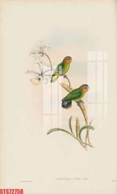 Tải về file tranh gốc Tranh sơn dầu phương tây tổng hợp STS72758 (để in quảng cáo)