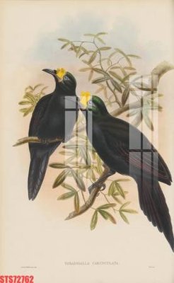 File gốc Tranh sơn dầu phương tây tổng hợp STS72762 (chuẩn màu) cho in offset