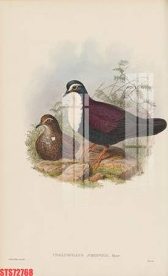 File tranh Tranh sơn dầu phương tây tổng hợp STS72768 (bản gốc) in lụa 5D