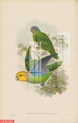 Download file Tranh sơn dầu phương tây tổng hợp STS72779 (gốc) in mica ốp bếp