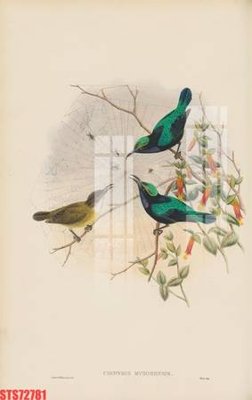 File tranh Tranh sơn dầu phương tây tổng hợp STS72781 (ảnh gốc) độc quyền