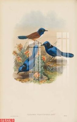 Download file Tranh sơn dầu phương tây tổng hợp STS72783 (gốc) in mica đèn LED