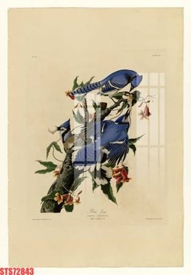 File tranh Tranh sơn dầu phương tây tổng hợp STS72843 (bản gốc) treo phòng ăn