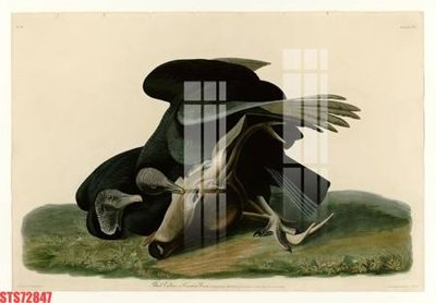 Chi tiết file tranh tráng gương Tranh sơn dầu phương tây tổng hợp STS72847 (ảnh gốc)