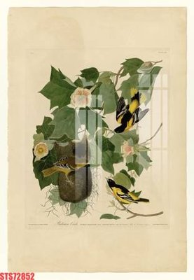 File tranh Tranh sơn dầu phương tây tổng hợp STS72852 (bản gốc) treo quán cafe