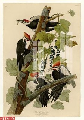 File PSD Tranh sơn dầu phương tây tổng hợp STS72853 (nguyên bản) cho thiết kế