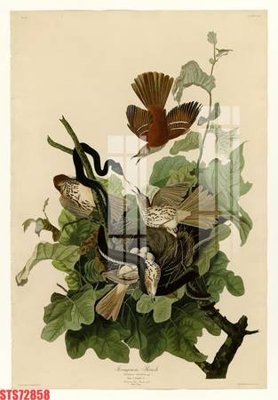 Hình ảnh file gốc Tranh sơn dầu phương tây tổng hợp STS72858 cho in UV