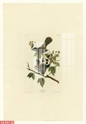 File tranh Tranh sơn dầu phương tây tổng hợp STS72871 (ảnh gốc) in trần 3D