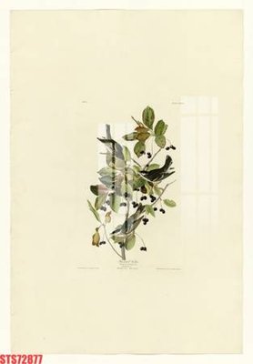 Tải file gốc Tranh sơn dầu phương tây tổng hợp STS72877 (in khổ lớn) không vỡ