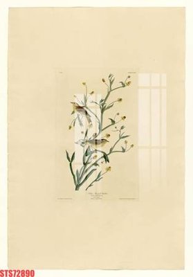 Tải file Tranh sơn dầu phương tây tổng hợp STS72890 (ảnh gốc) in gạch 3D