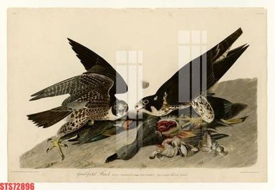 File PSD Tranh sơn dầu phương tây tổng hợp STS72896 (bản gốc) chất lượng nhất