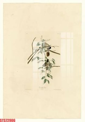 Download file Tranh sơn dầu phương tây tổng hợp STS72906 (gốc) in mica bàn thờ