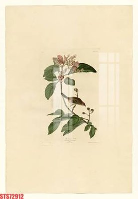 File gốc Tranh sơn dầu phương tây tổng hợp STS72912 (vector) cho in ấn