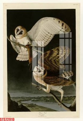 File gốc Tranh sơn dầu phương tây tổng hợp STS72919 cho in ấn và thiết kế