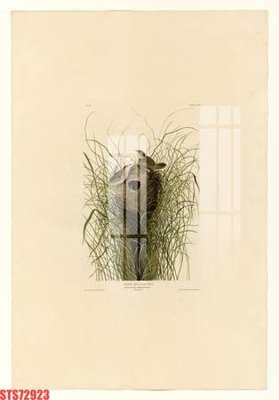 File gốc in ấn Tranh sơn dầu phương tây tổng hợp STS72923 (sẵn sàng tải về)