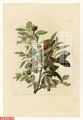 File gốc Tranh sơn dầu phương tây tổng hợp STS72931 (in lụa) chi tiết cao