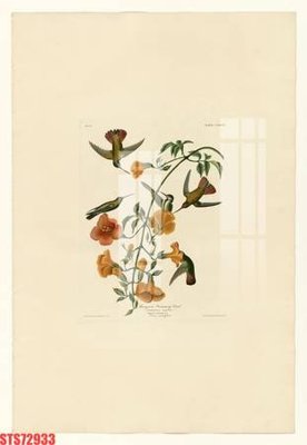 File in ấn Tranh sơn dầu phương tây tổng hợp STS72933 (bản gốc) sắc nét